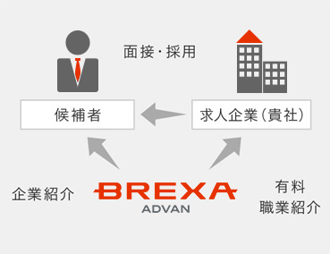 人材紹介の仕組み図：BREXA Advanが候補者へ企業紹介、求人企業へ有料職業紹介を行い、面接・採用に至る流れ