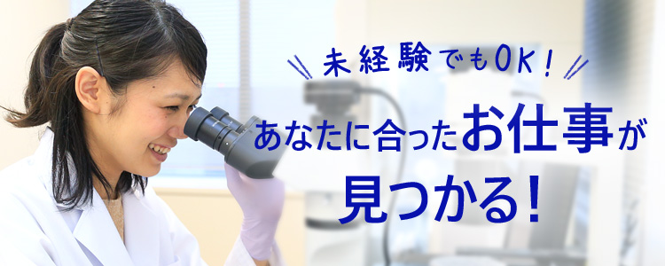 未経験でもOK！あなたに合ったお仕事が見つかる！