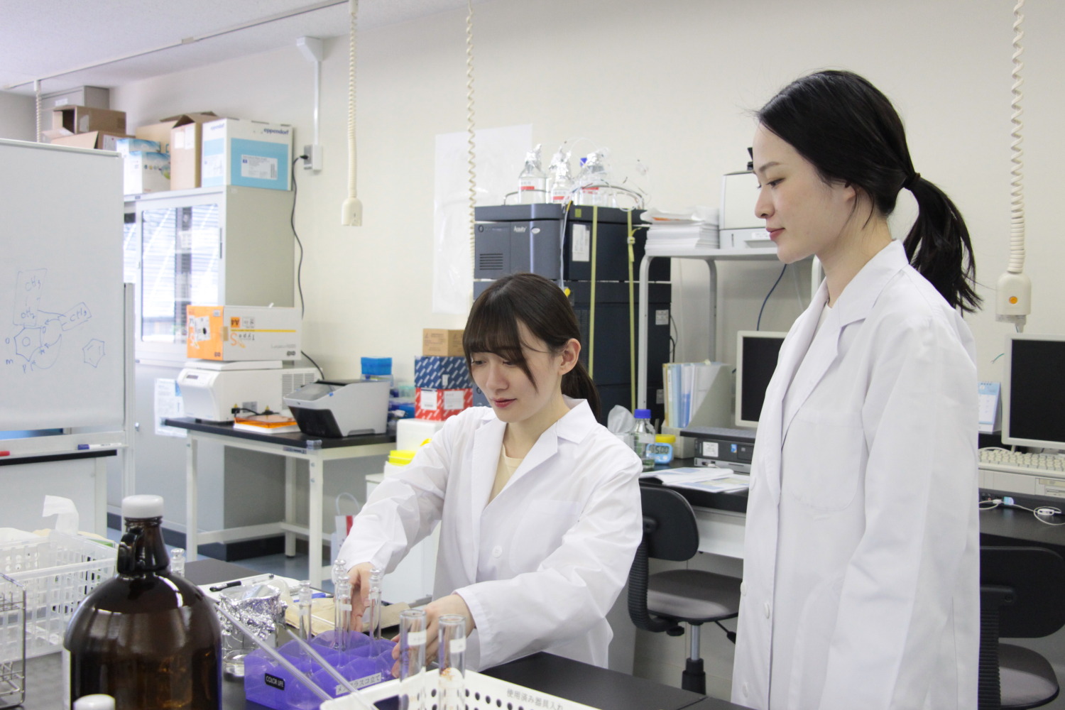 第二新卒歓迎の創薬研究開発のお仕事