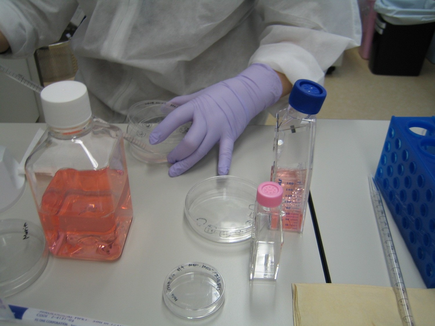 大学での微生物培養のお仕事です