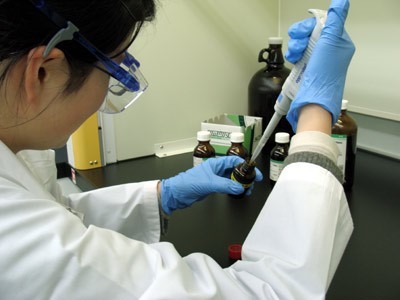 大手医薬品メーカーでの分析業務