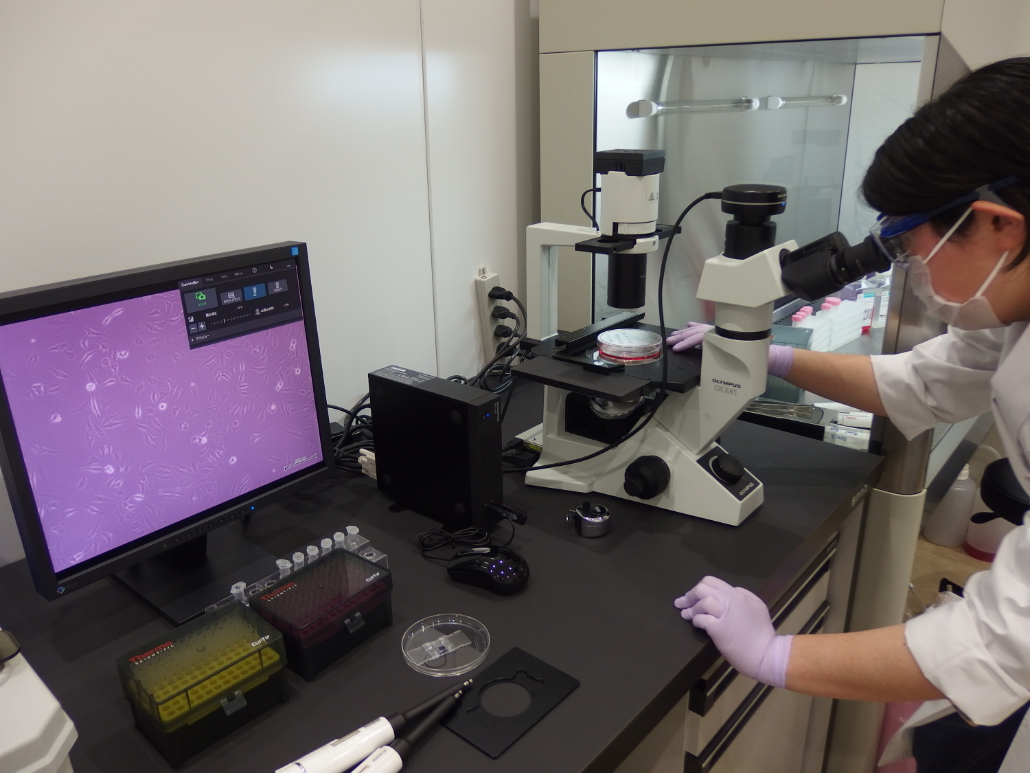 【京都市左京区】国立大学内でのiPS細胞を用いた最先端の研究/残業なし