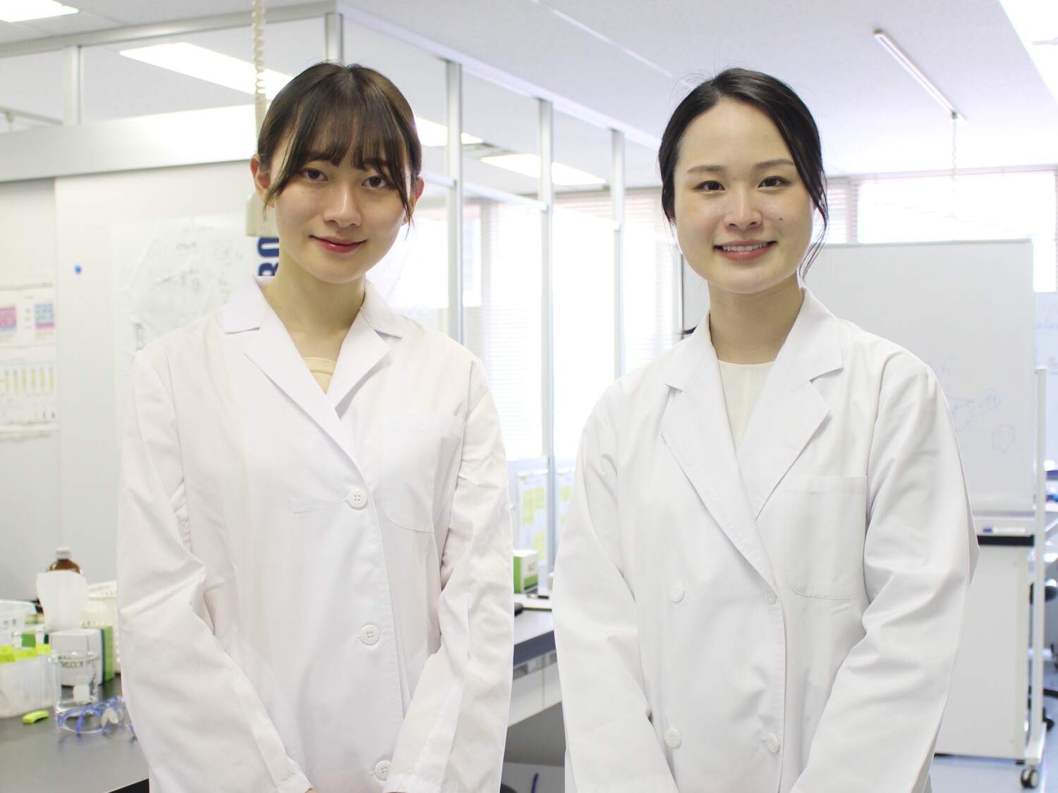 公的機関での動物実験のお仕事