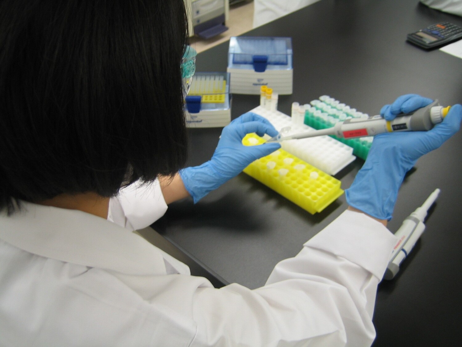 製薬会社での細胞実験