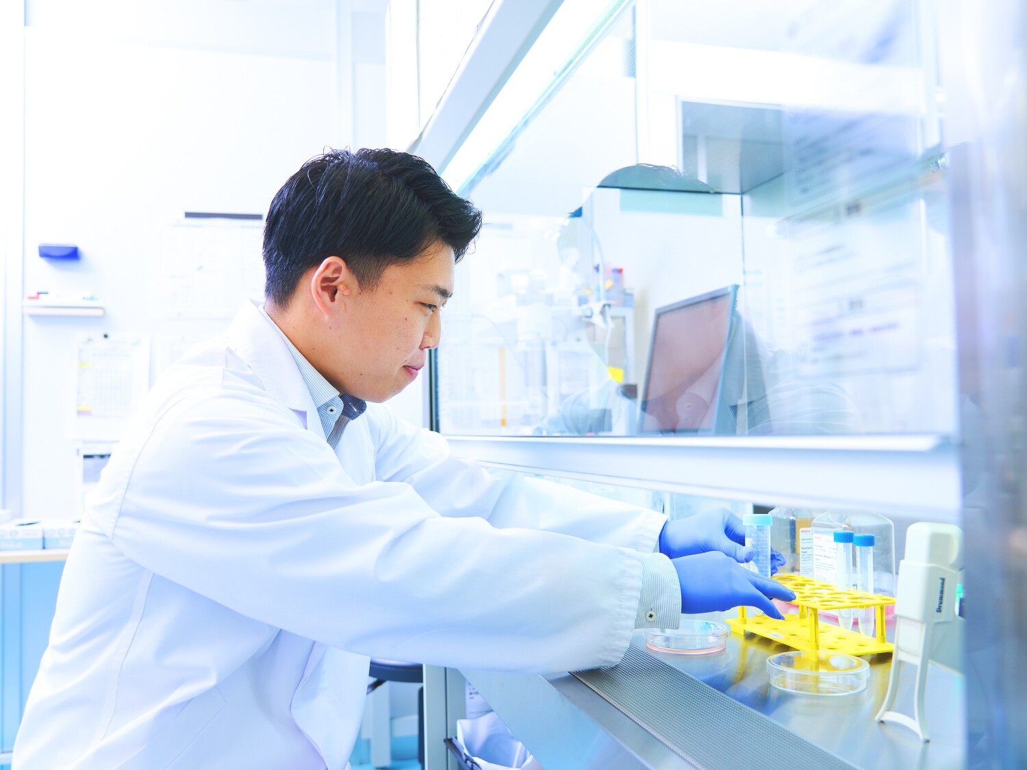 大手製薬メーカーでの細胞実験業務