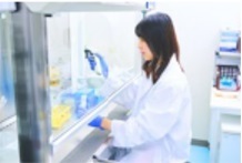 細胞を用いた基礎研究