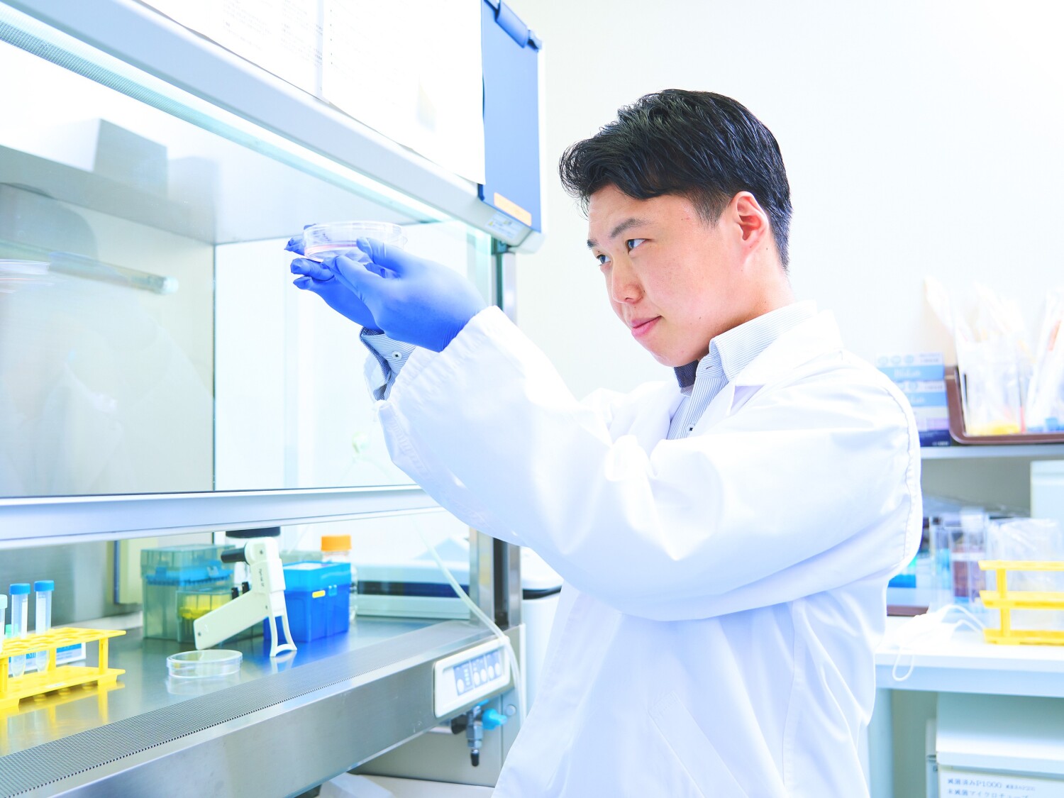 大学でのマウス投与実験の補助業務