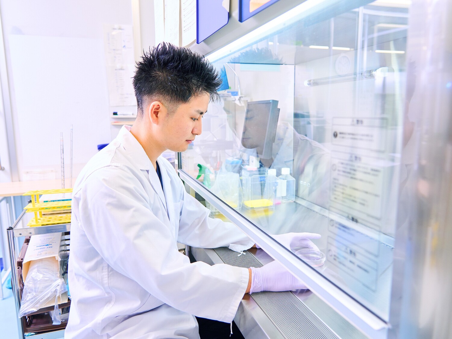 大手製薬会社での品質管理