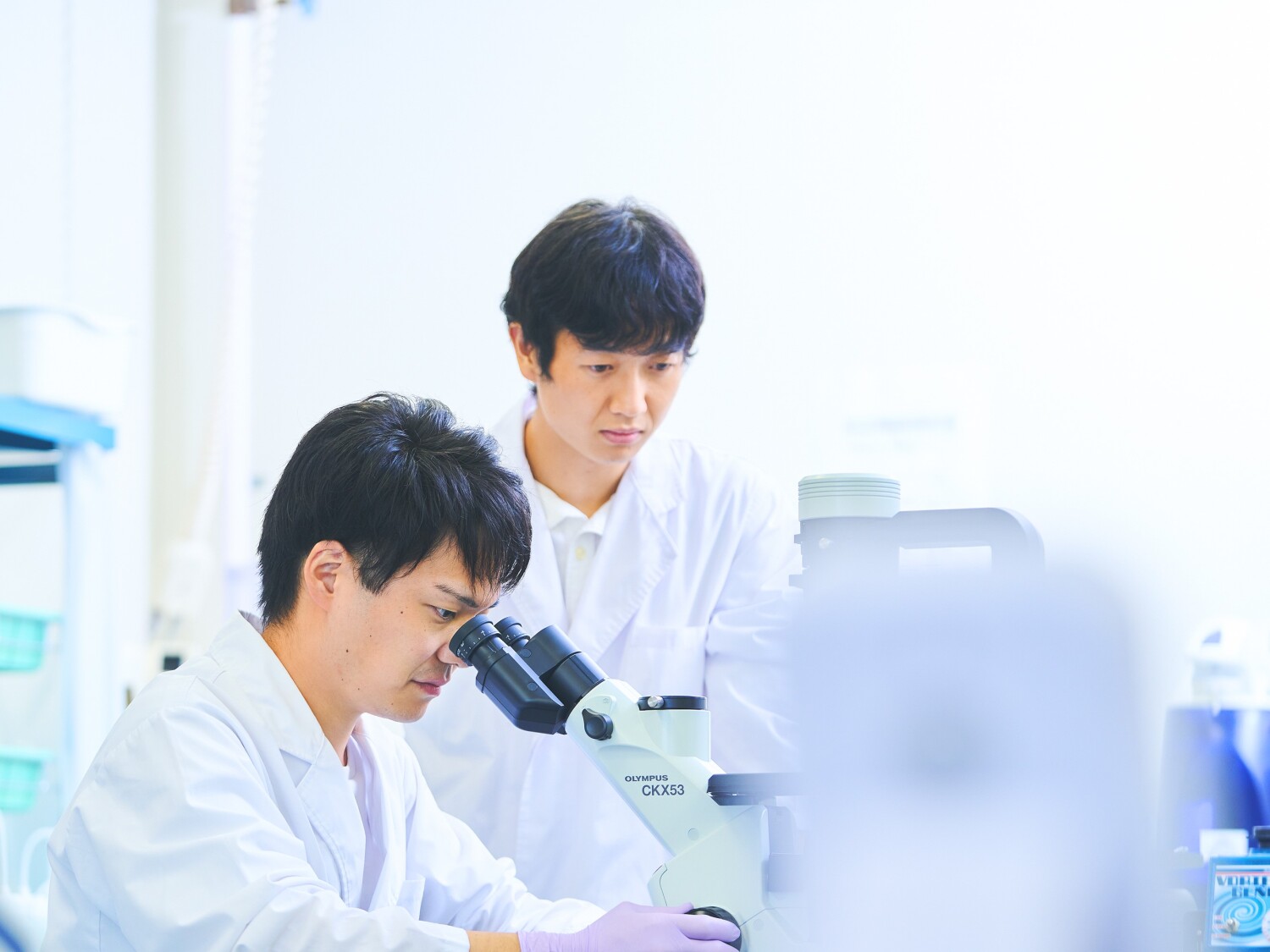 【つくば】公的研究機関での生化学実験補助