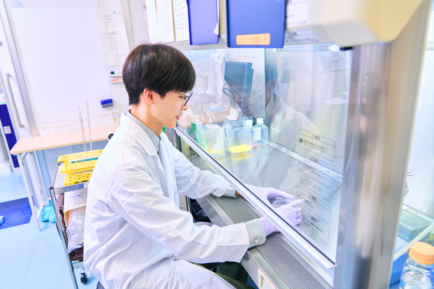国立大学での培養実験業務