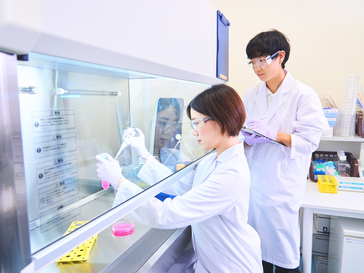 国立大学内での分子生物学実験