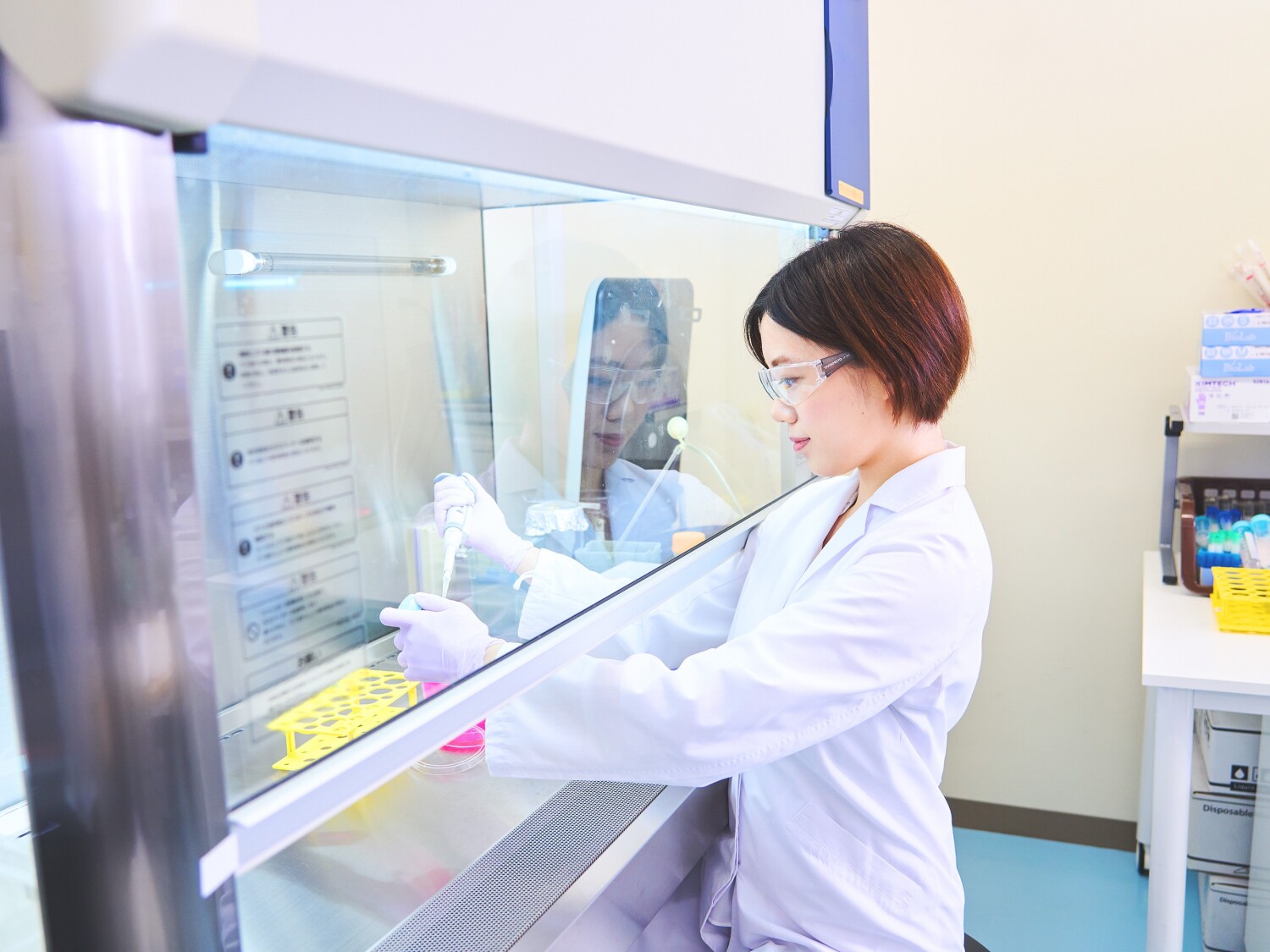 研究室での研究補助業務(DNA抽出やGCを使用した測定など)