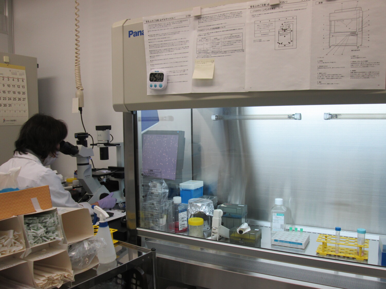 【鹿児島県鹿児島市】医薬品性能試験に関する実験補助