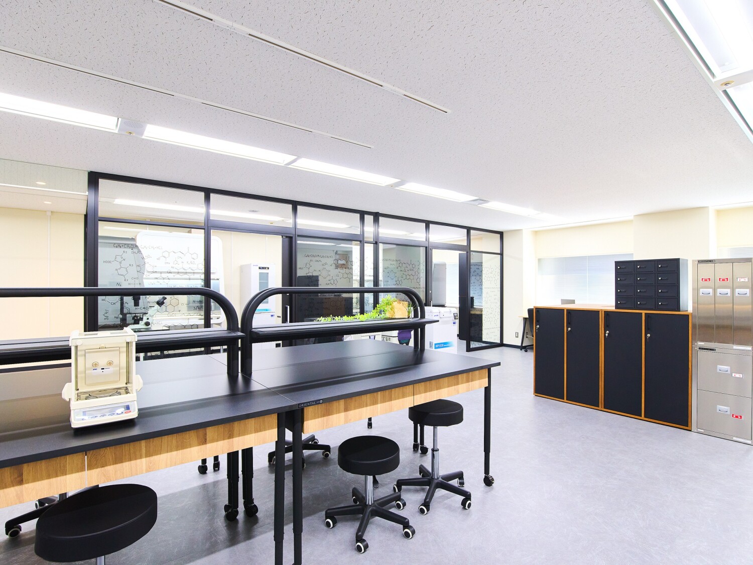 大手製薬企業での薬物スクリーニング業務