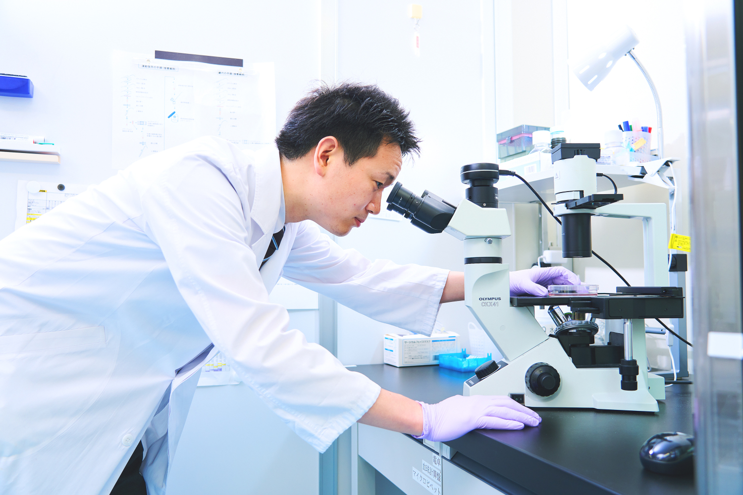 【生駒市】大手製薬メーカーでの動物実験／病理標本作成