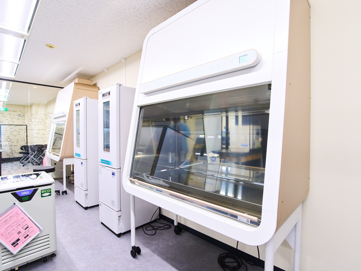 自社3D細胞構造技術を用いた新規ツールの研究開発(スタッフ)