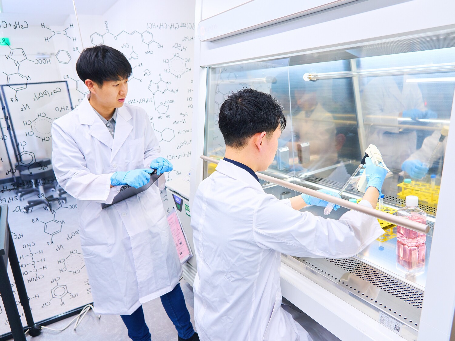 微生物検査経験を活かす|食品メーカー品質管理