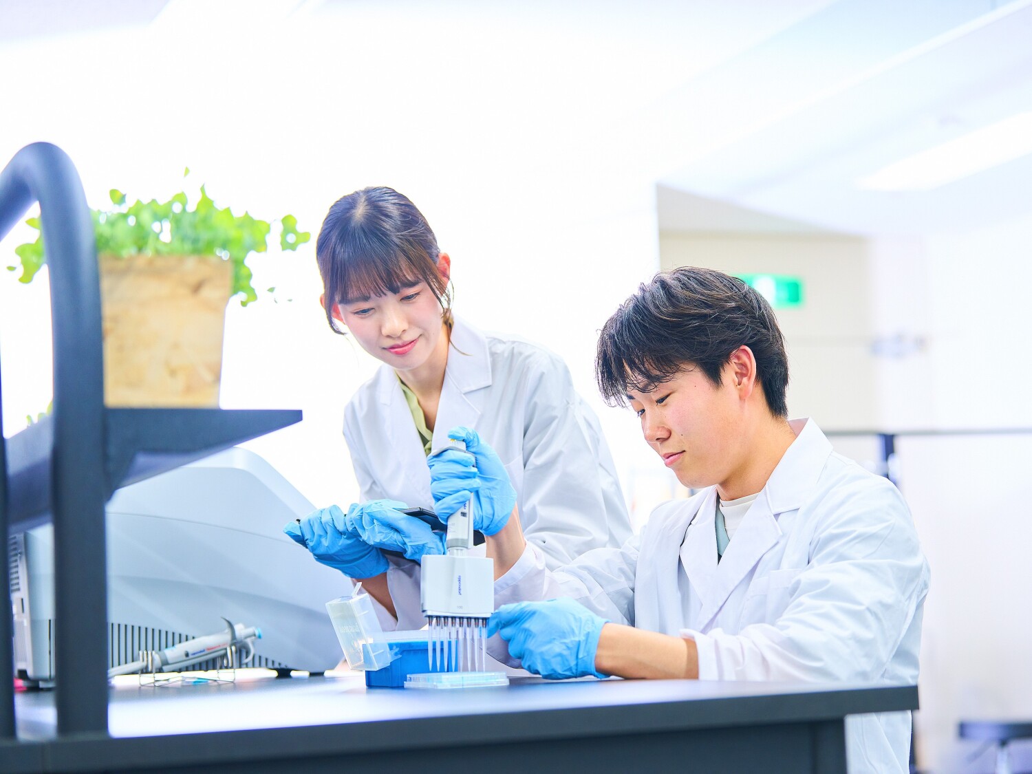 【精華町】大手飲料メーカーでの微生物実験と機器分析(GCなど使用)